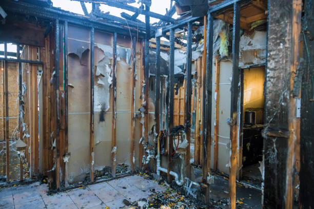 Professional Smoke Damage Removal technician working in Gaylord, MN