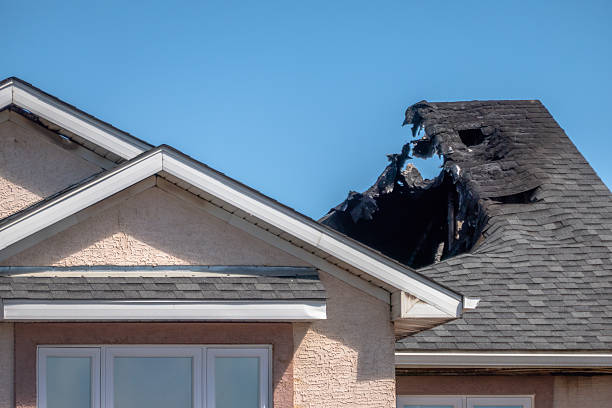 Top rated local Smoke Damage Removal specialists in Gaylord, MN